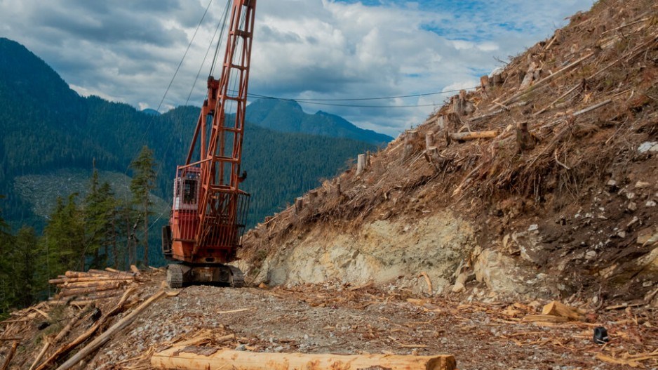 old-growth-logging1creditalextsuiwildernesscommittee