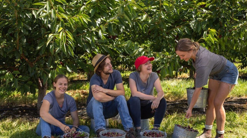 orchardworkers