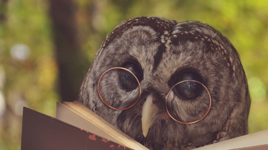 owl-reading-shutterstock