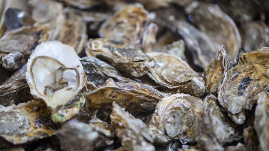 oysters_shutterstock