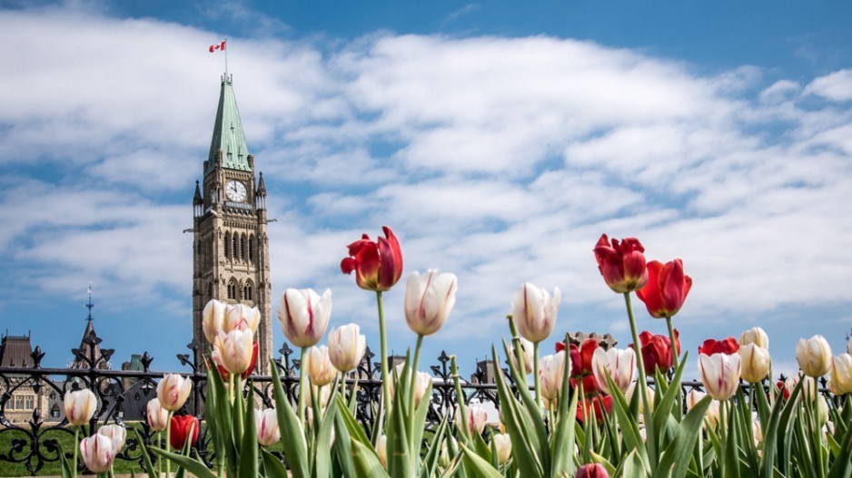 parliament-spring-danielledonders-moment-gettyimages