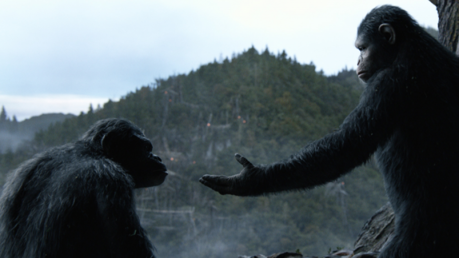 planetofapes