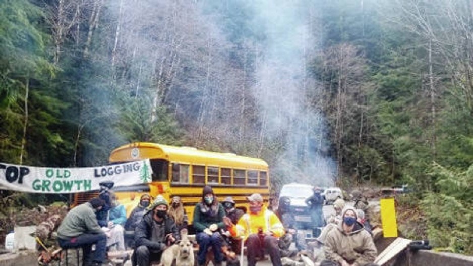 protesters-fairy-creek-april2021-creditrainforestflyingsquad