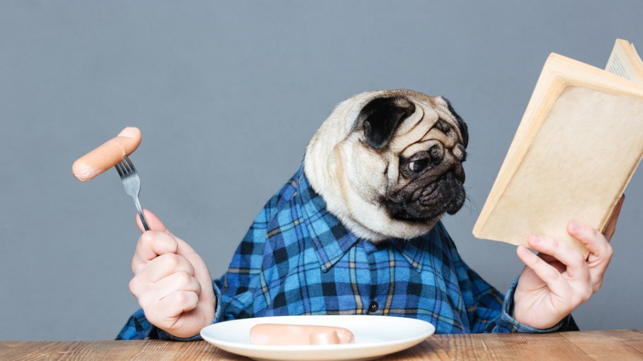 pug-head-reading-shutterstock