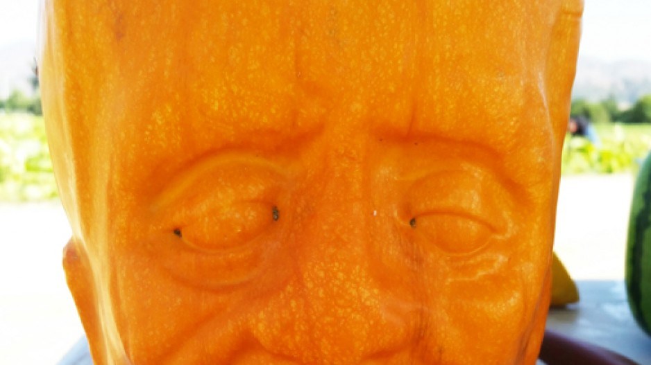 pumpkin1