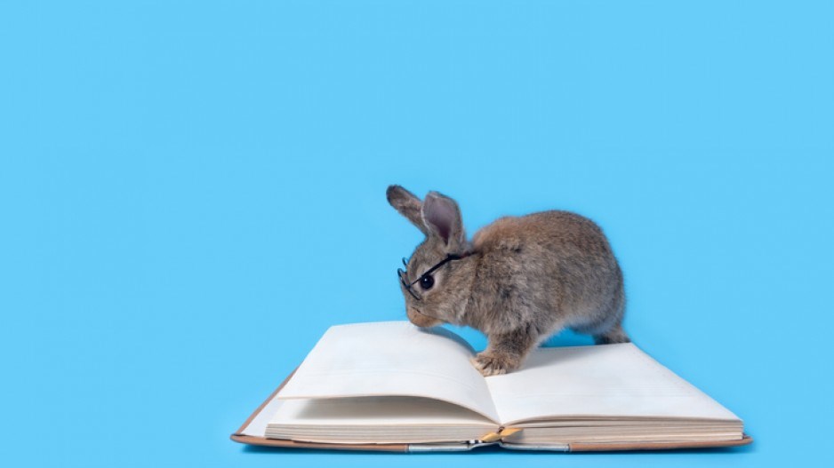 rabbit-reading-creditnatayasaweddit-gettyimages