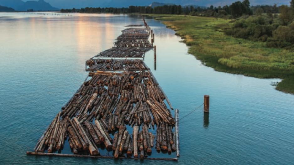 raw_logs_james_wheeler_shutterstock_