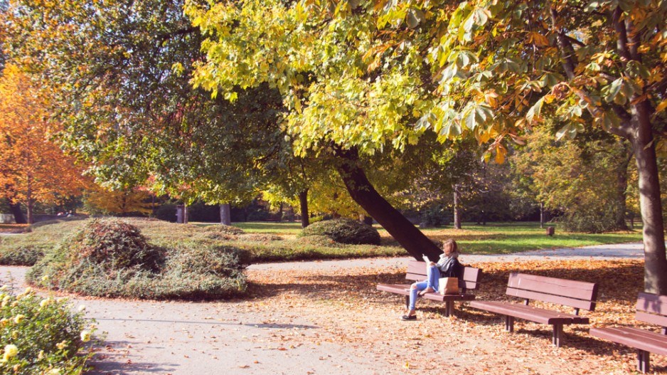 reading-autumn-shutterstock