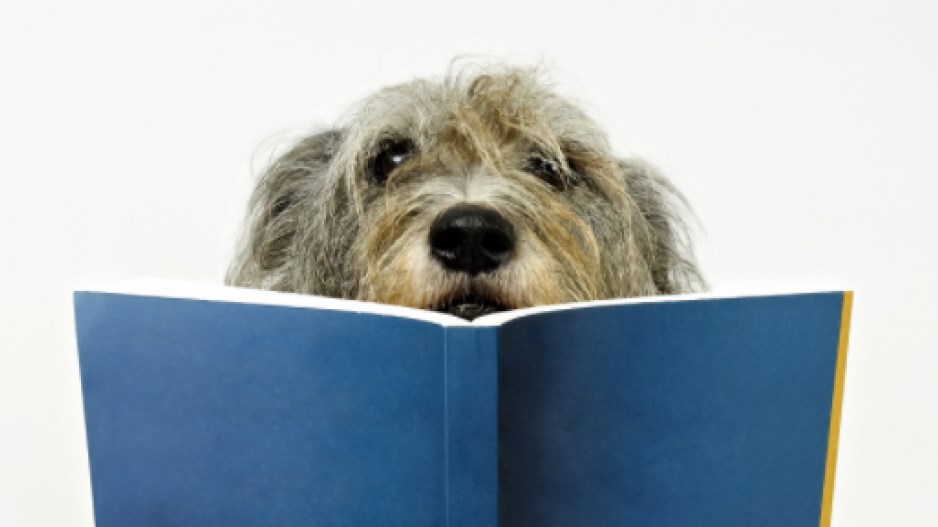 reading-dog-creditjujwinngetty