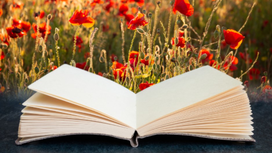 reading-poppies-creditmattgibsongettyimages