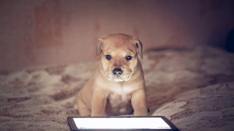 reading-tablet-puppy-shutterstock