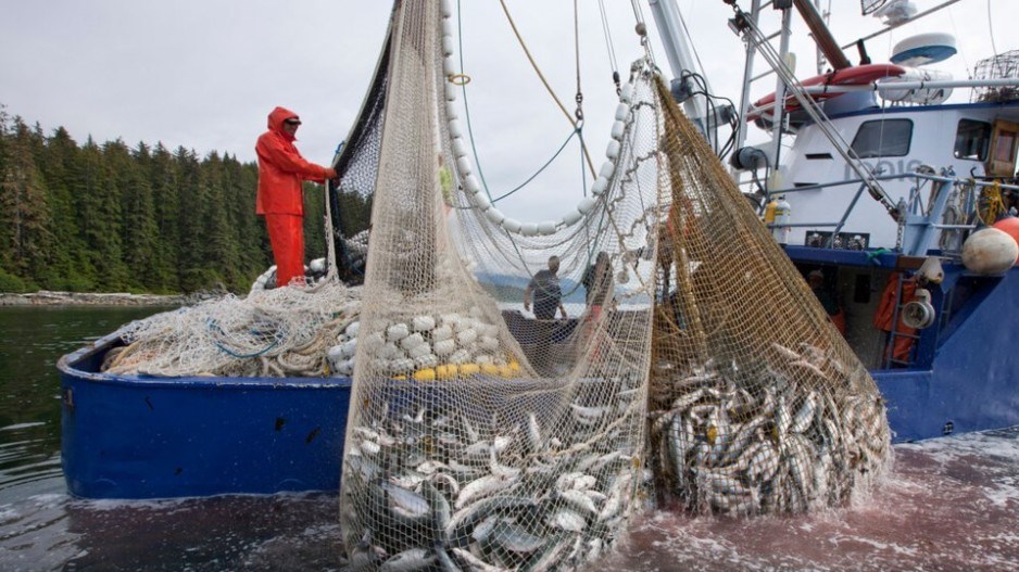 salmon-fishing-alaska-creditwatershedwatchskeenawild