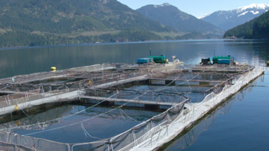 salmonfarm