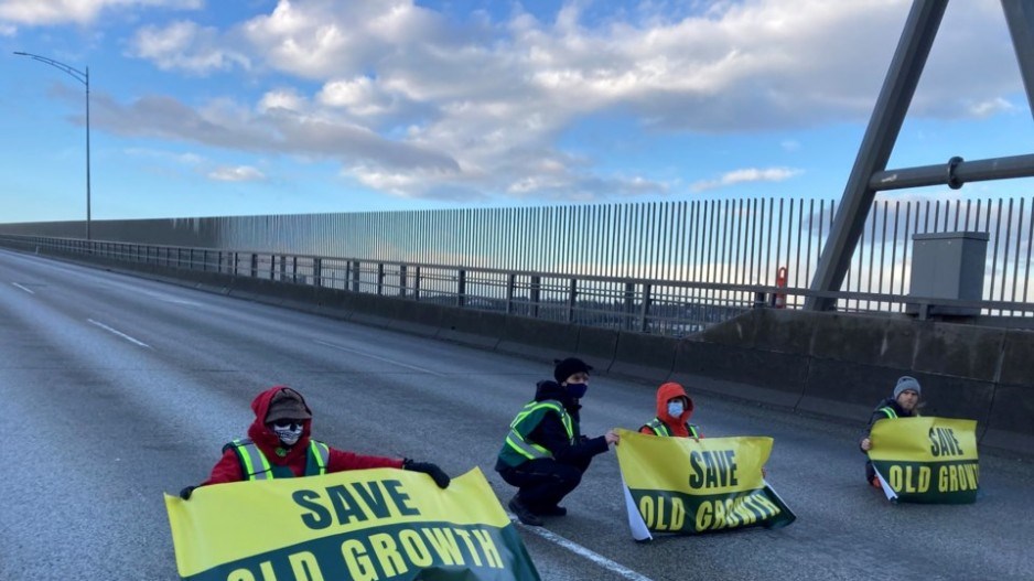 save-old-growth