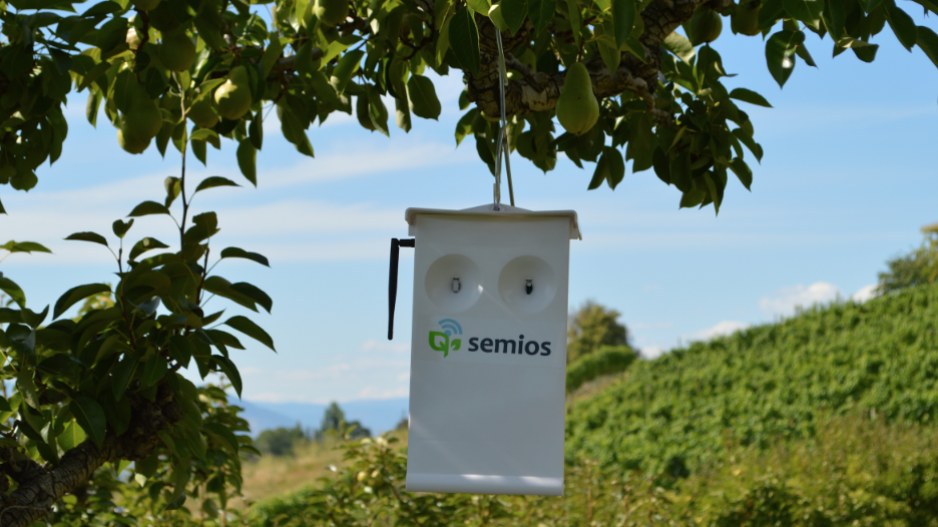 semios