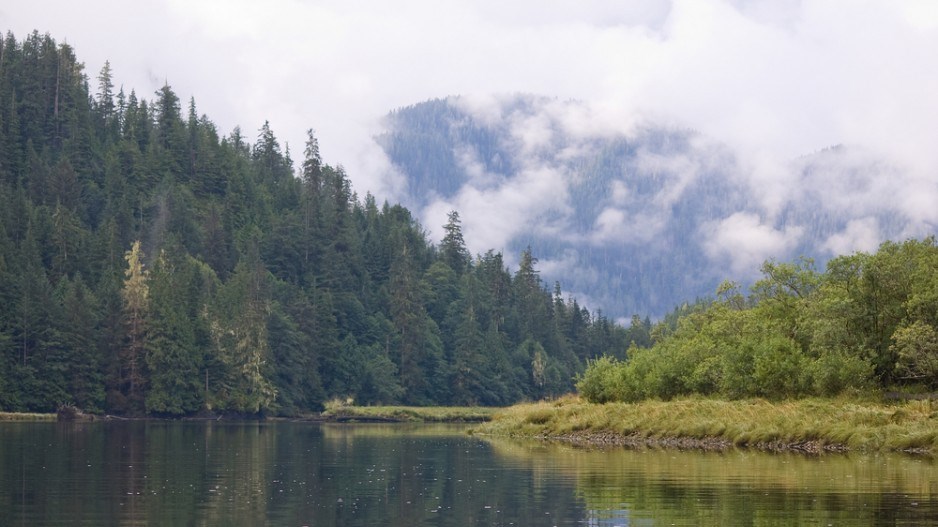 smith-inlet-great-bear-rainforest