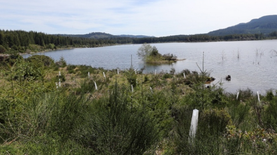 sooke_lake_reservoir_credit_adrian_lam