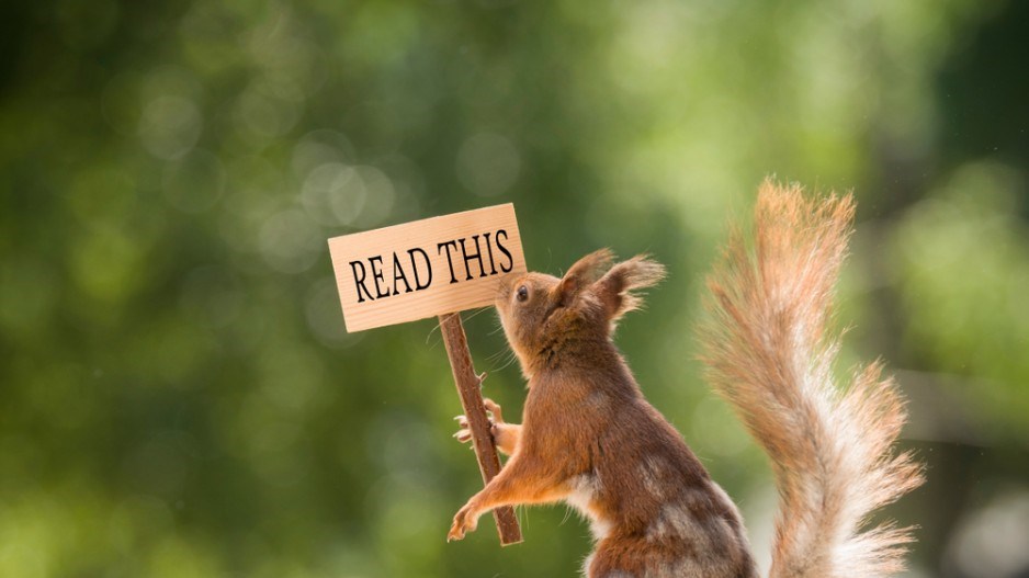 squirrel-reading-shutterstock