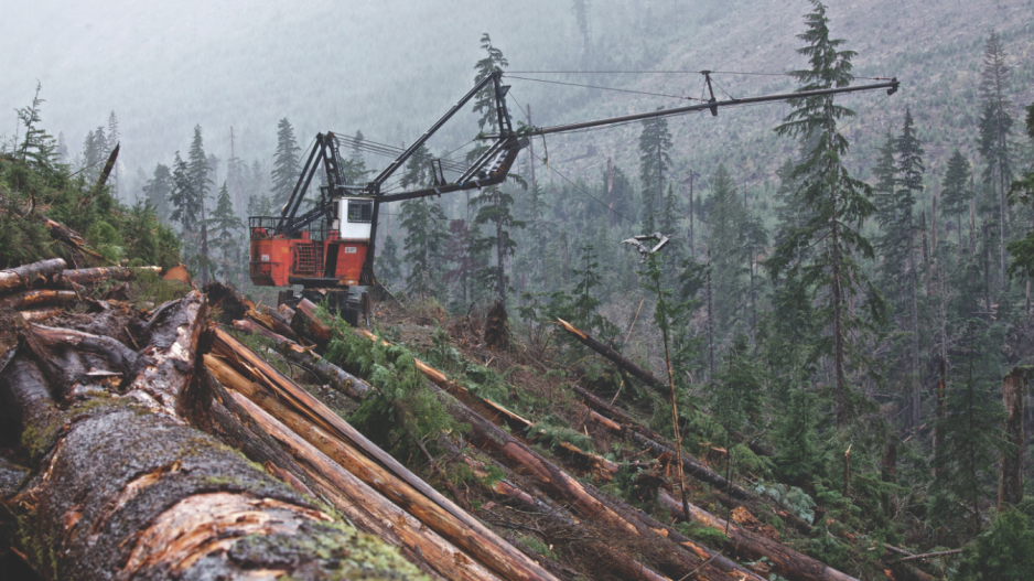 steep_slope_logging