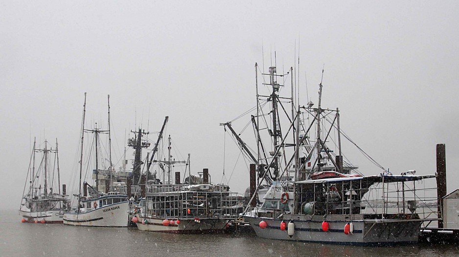 B.C. commercial fishing industry sends out an SOS - Business in