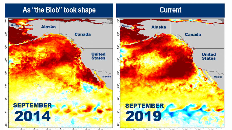 theblob-noaa