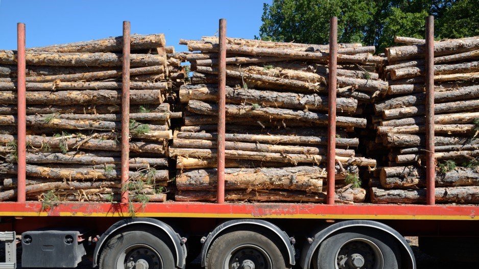 timbersupplycreditchrishellier-corbisdocumentary-gettyimages