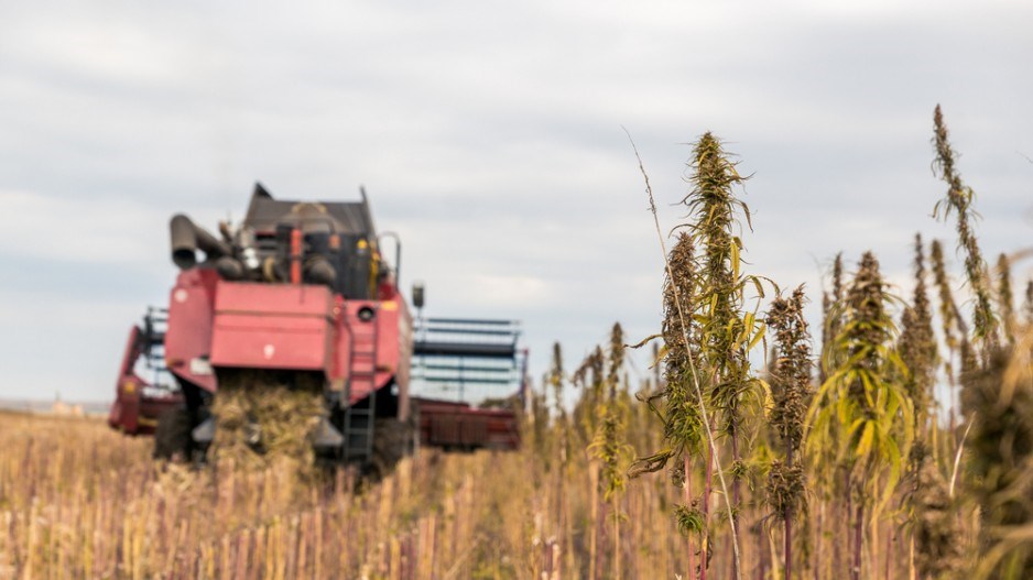 tractorhempshutterstock