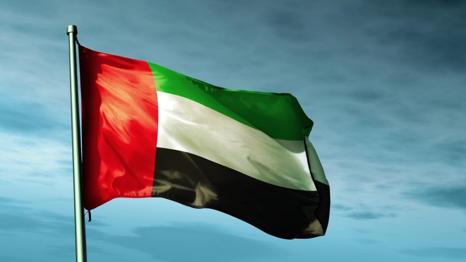 united_arab_emirates_flag