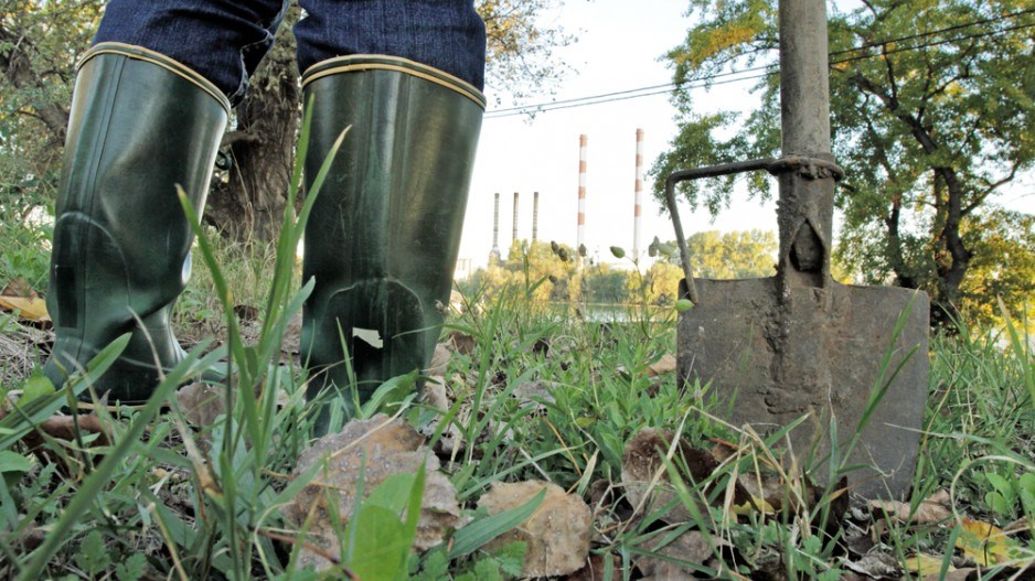 urban_farming_shutterstock