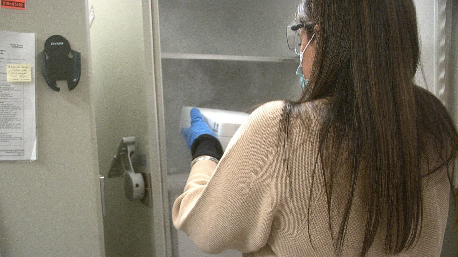 vaccinepfizer1creditbcgov