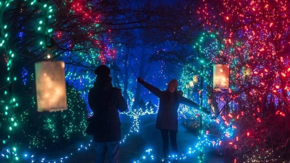 vandusen-festival-lights-vancouver