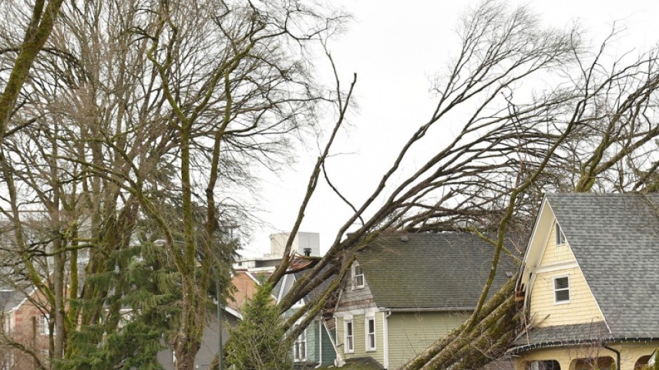 wind-storm-filephoto-dantoulgoet