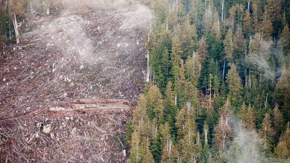 klanawa-valley-old-growth-logging-split-viewcredittjwatt-ancientforestalliance