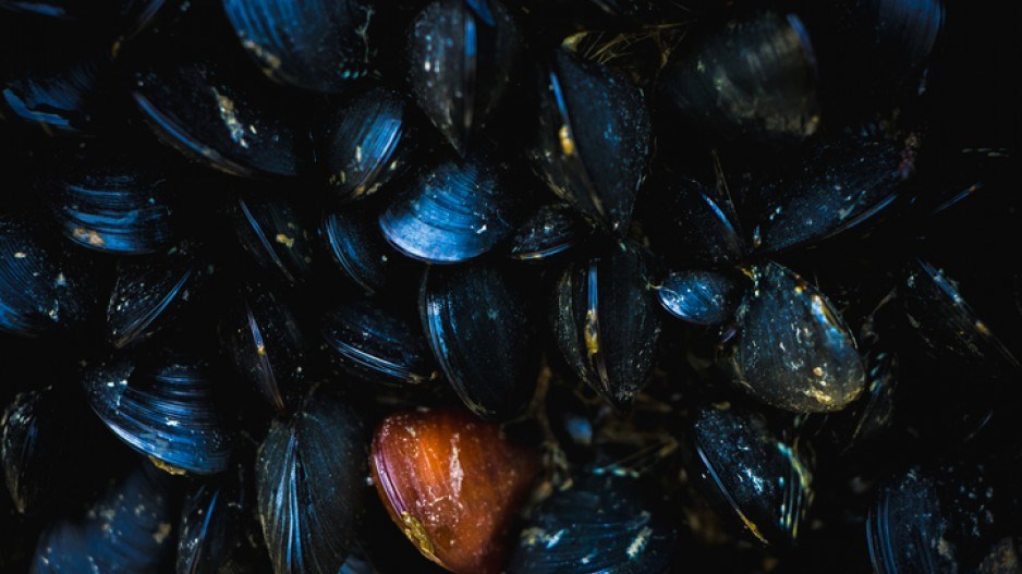 mussels-bc-gettyimages