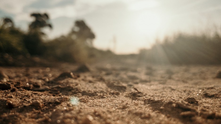 soilcreditbruno-pereira-unsplash