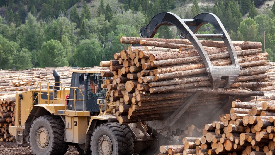 forestrylumbercreditimaginegolf-eplussymbol-gettyimages
