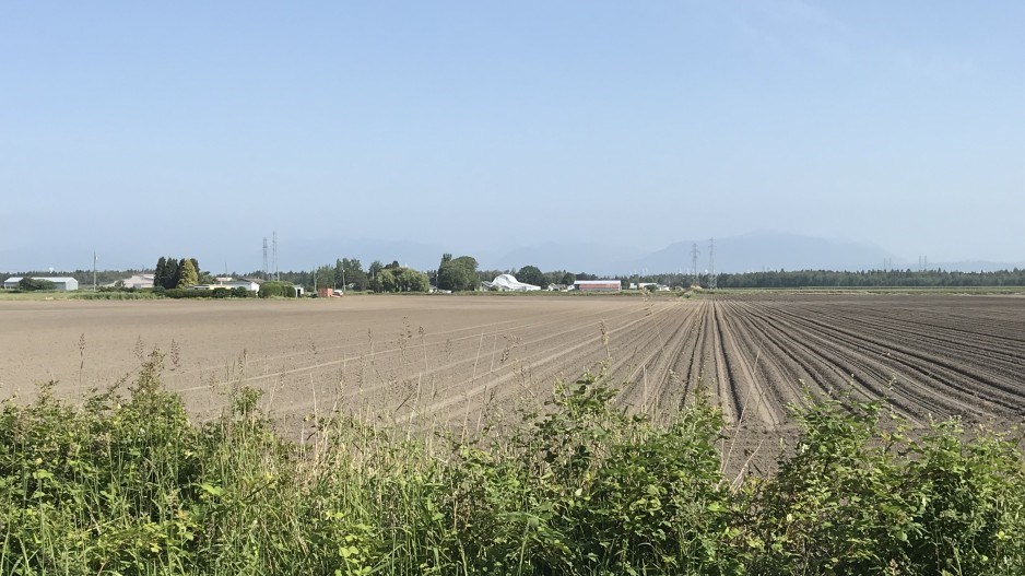 irrigation-delta-farms-pic-credit-delta-optimist-file-photo