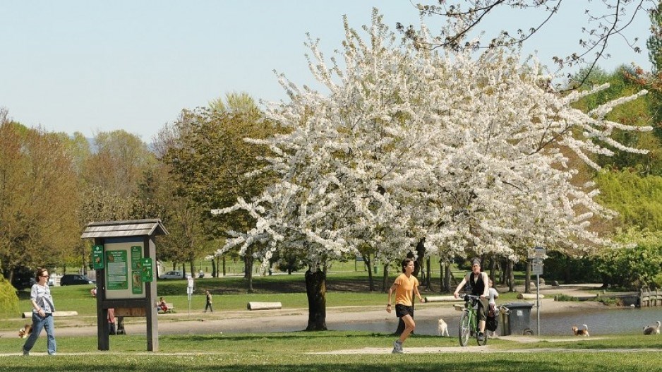 parkboardauditcreditdantoulgoet