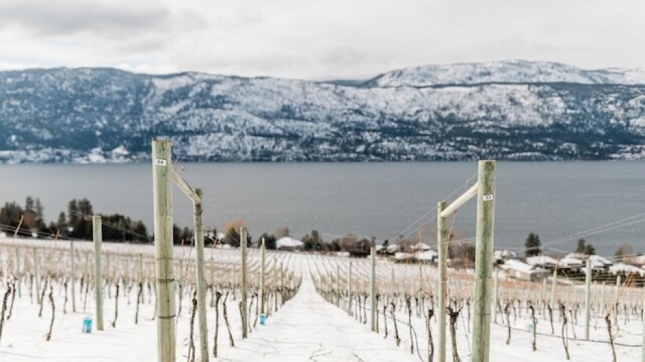 snow-wine-credit-wine-bc