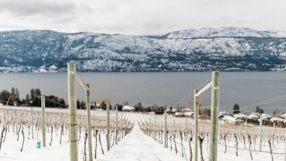 snow-wine-credit-wine-bc