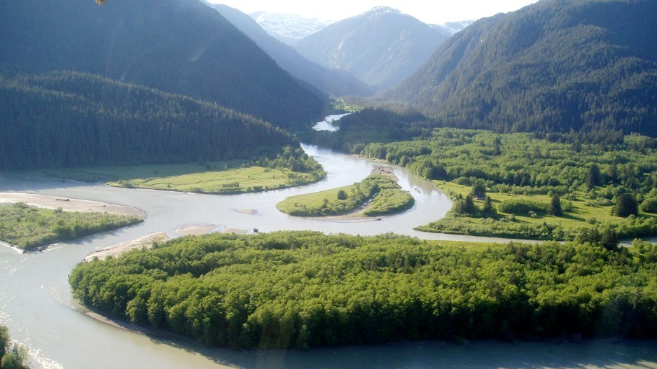 Alaskan tribes seek standing in Eskay Creek mine review