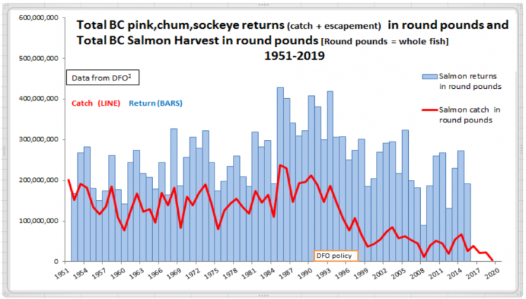 commercial catch vs abundance