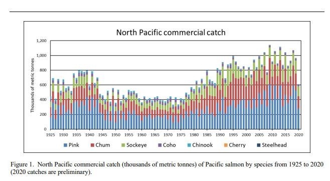 2020 commercial salmon catch