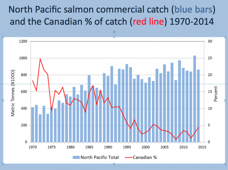 BC Commercial salmon catch