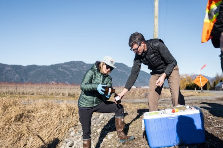 Researchers from an environmental group and local First Nations test water quality in Sumas Prairie, B.C., after heavy floods hit the region in November 2021. Alex Harris/Raincoast Conservation Foundation
