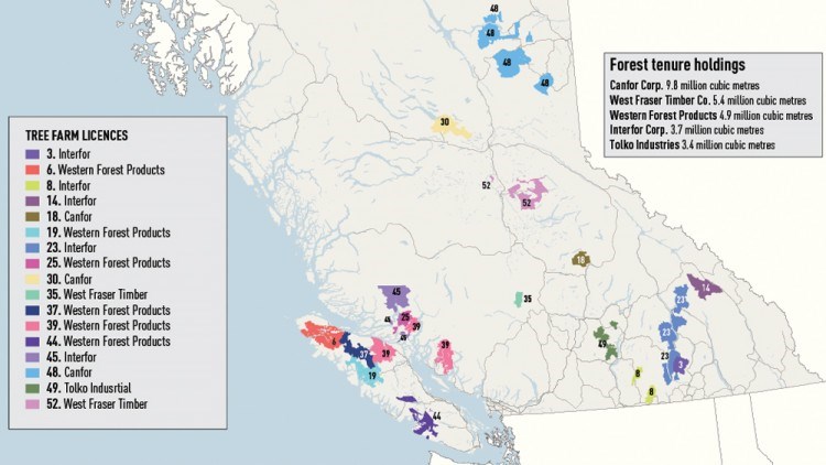 Forest tenure B.C. 2021