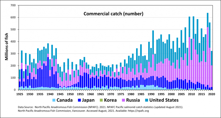 global commercial pacific salmon catch by country