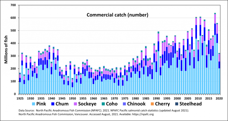 global pacific salmon catch by species