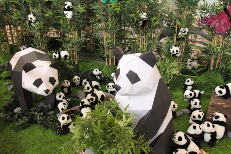 Pandas