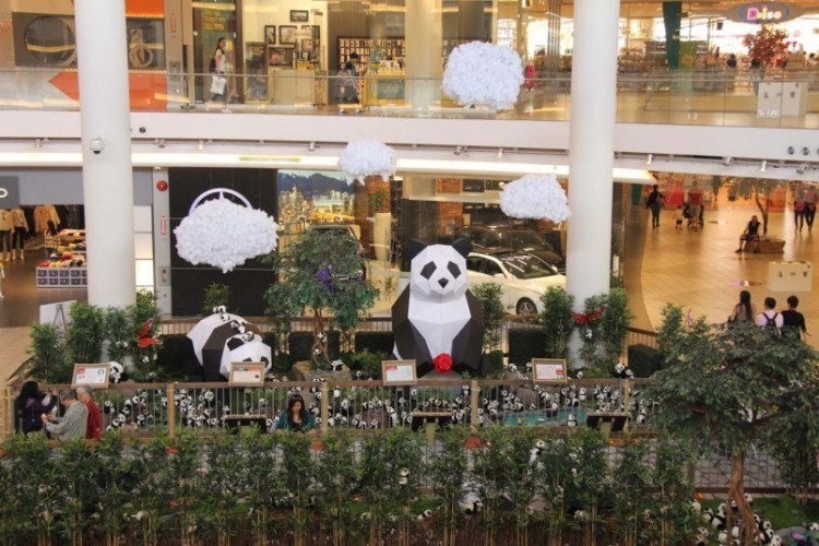 Pandas